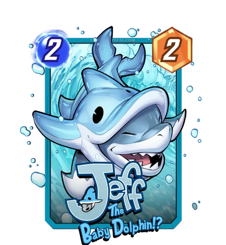 Jeff the Baby Dolphin!?