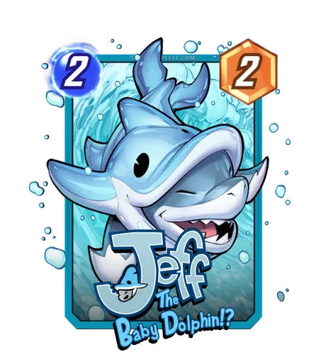 Jeff the Baby Dolphin!?