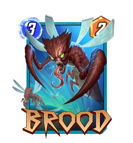 Brood Grafit Studio variant